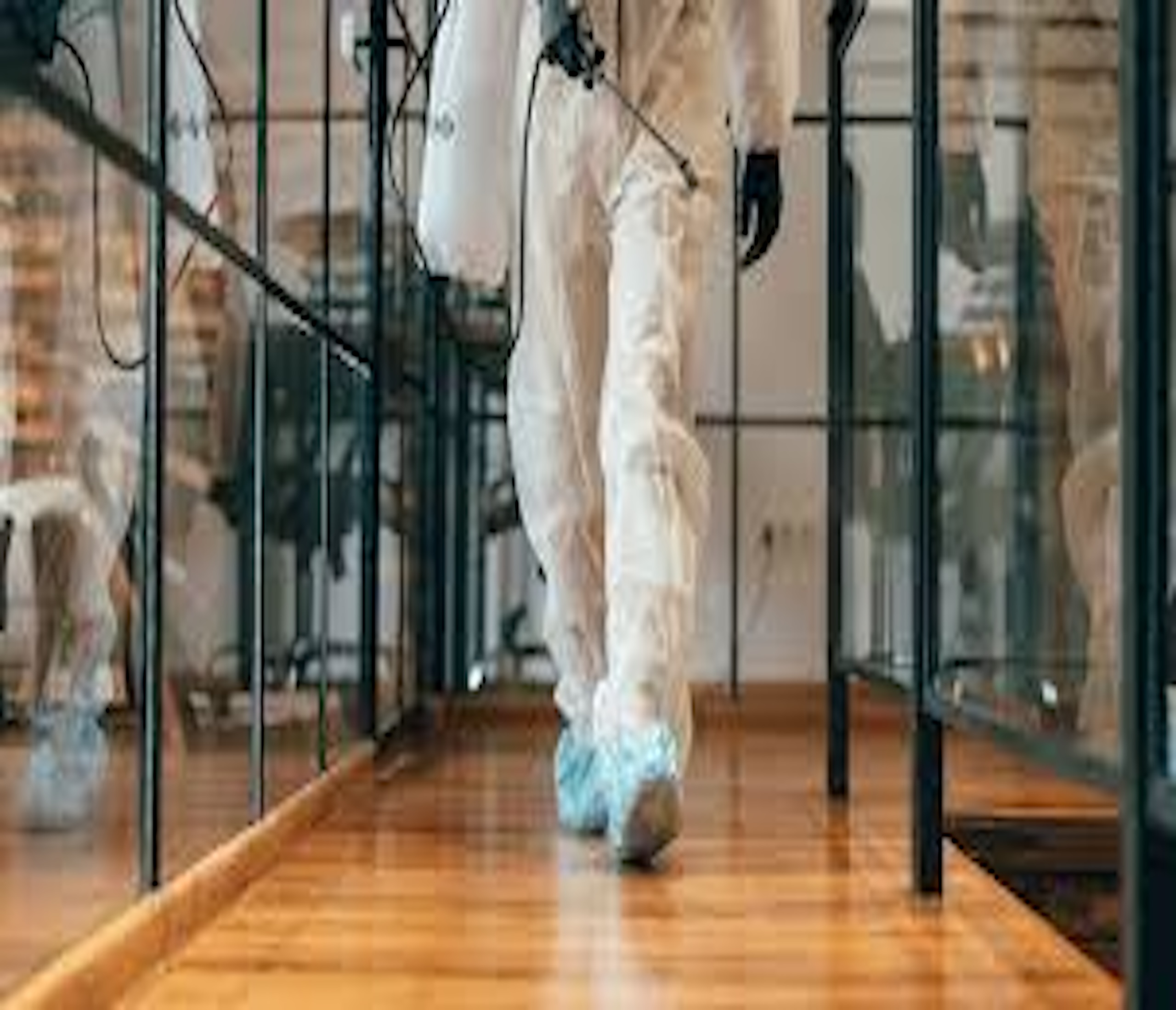 Paquetes Personalizados